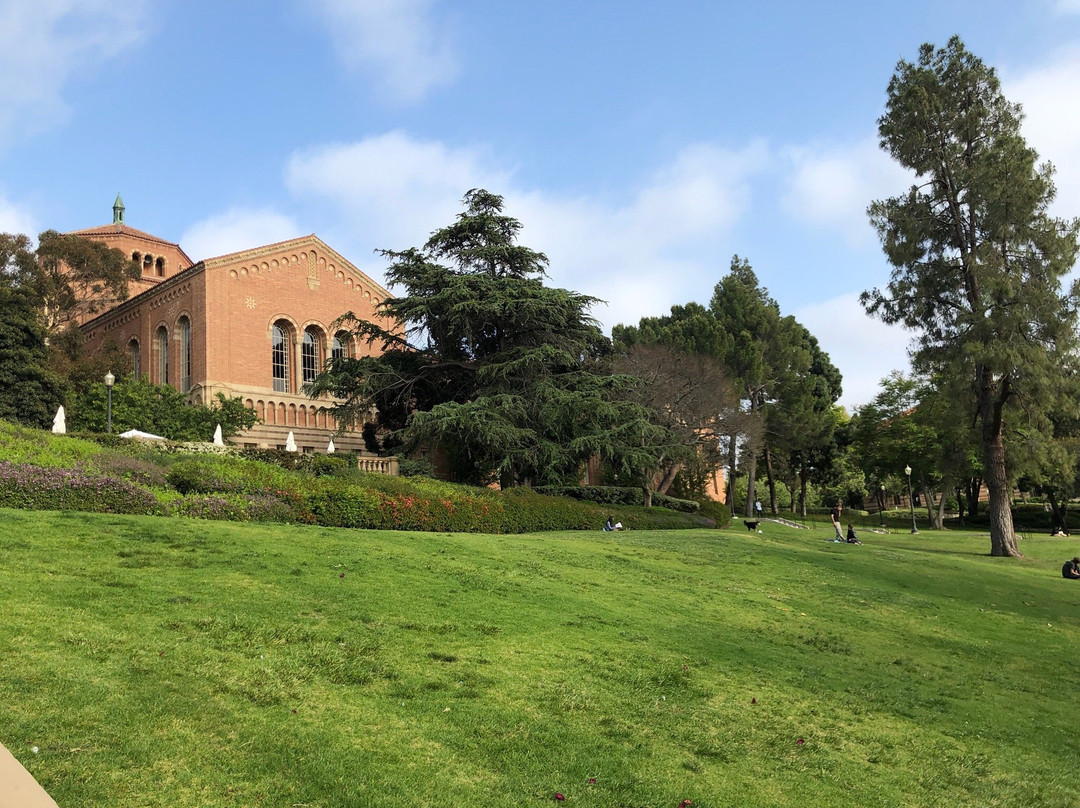 加州大学洛杉矶分校纪念品店景点图片