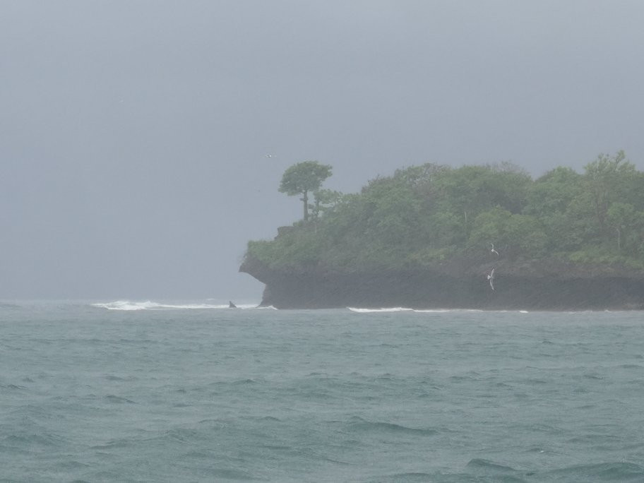 Isaac MK Safaris Day Tours-蒙巴萨必去景点