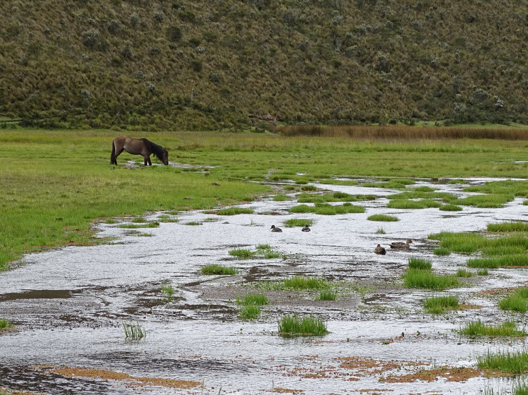 Area Nacional de Recreacion El Boliche-拉塔昆加必去景点