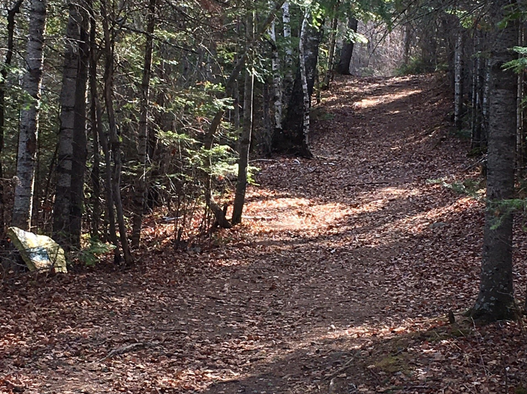 Gull Harbour Resort and Conference Centre主图