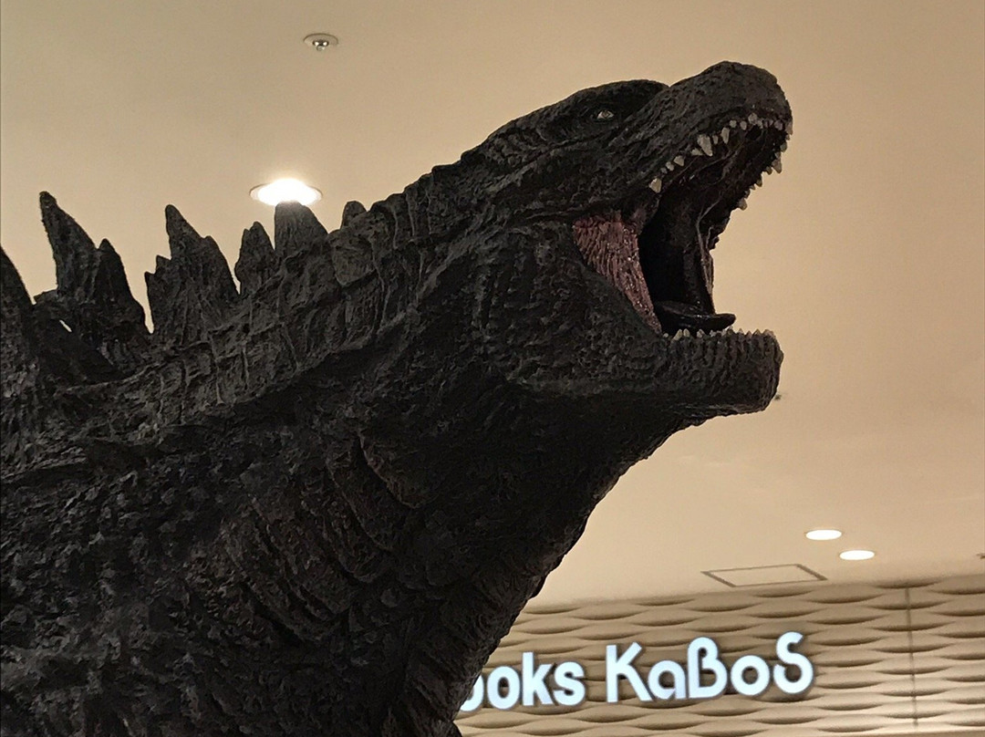 LaLaport Kashiwanoha-柏市必去景点