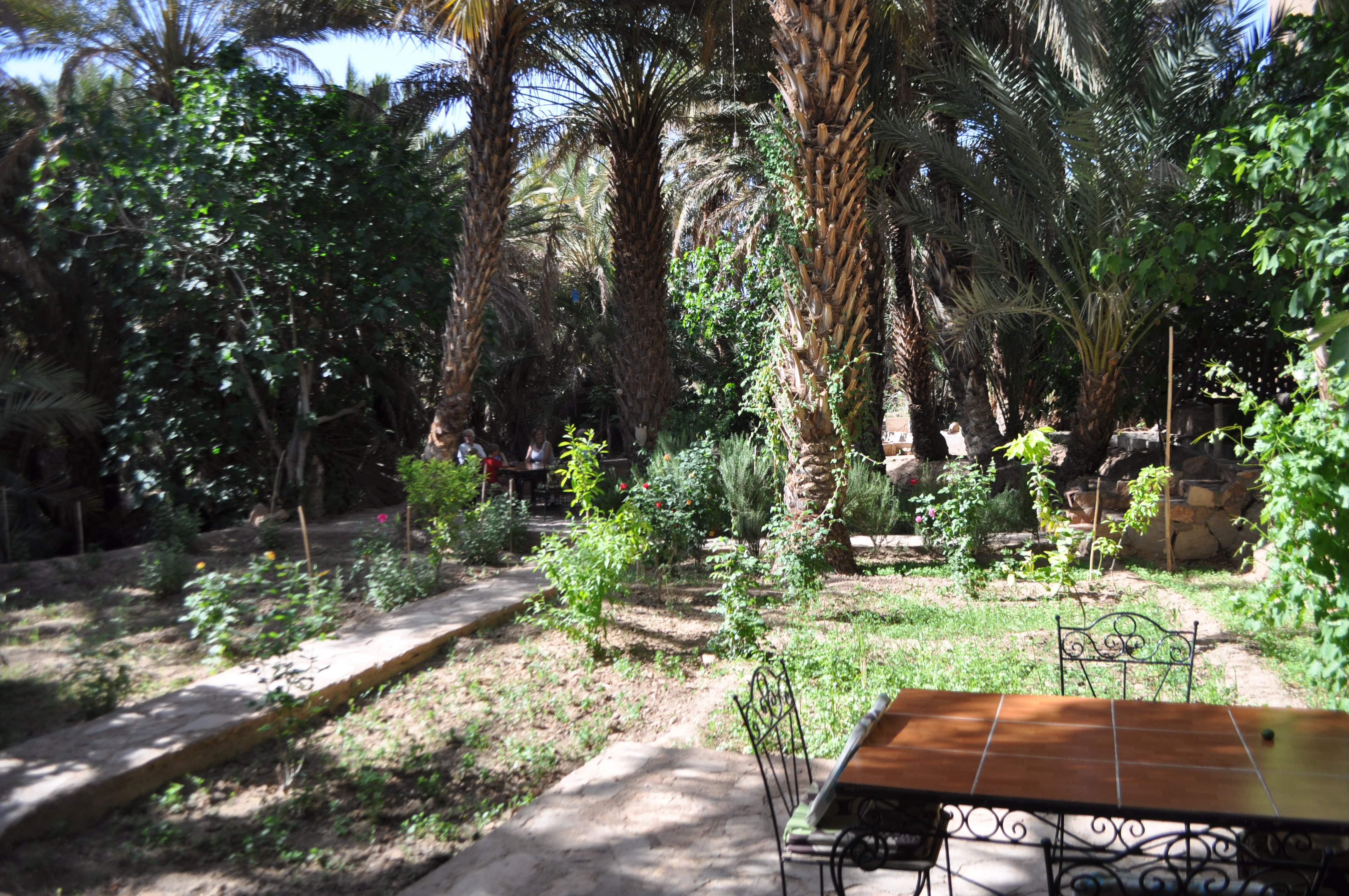 Gite Dans La Palmeraie-官方