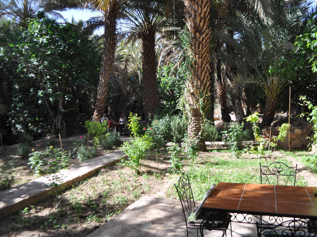 Gite Dans La Palmeraie主图