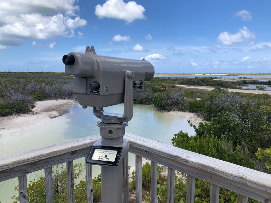 Flamingo Pond-Anegada必去景点