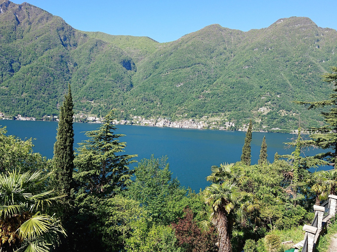 Briisa De Ness主图