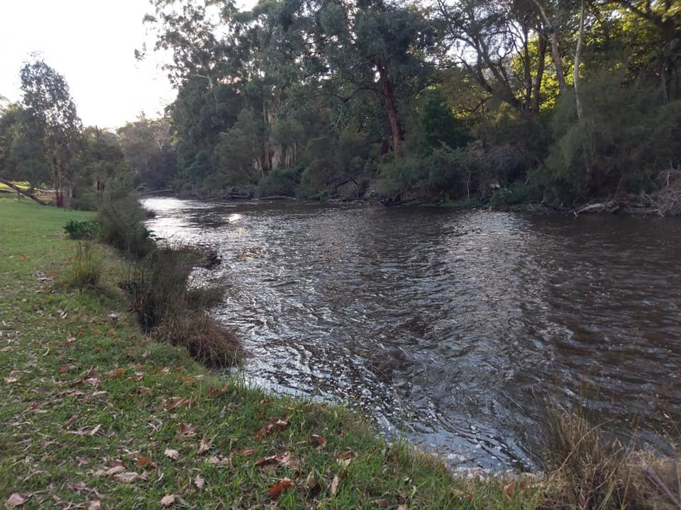 亚拉河谷贝斯特韦斯特酒店主图