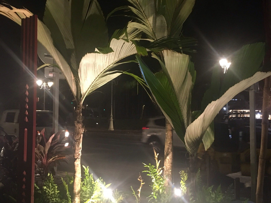 Taharuu Beach景点图片