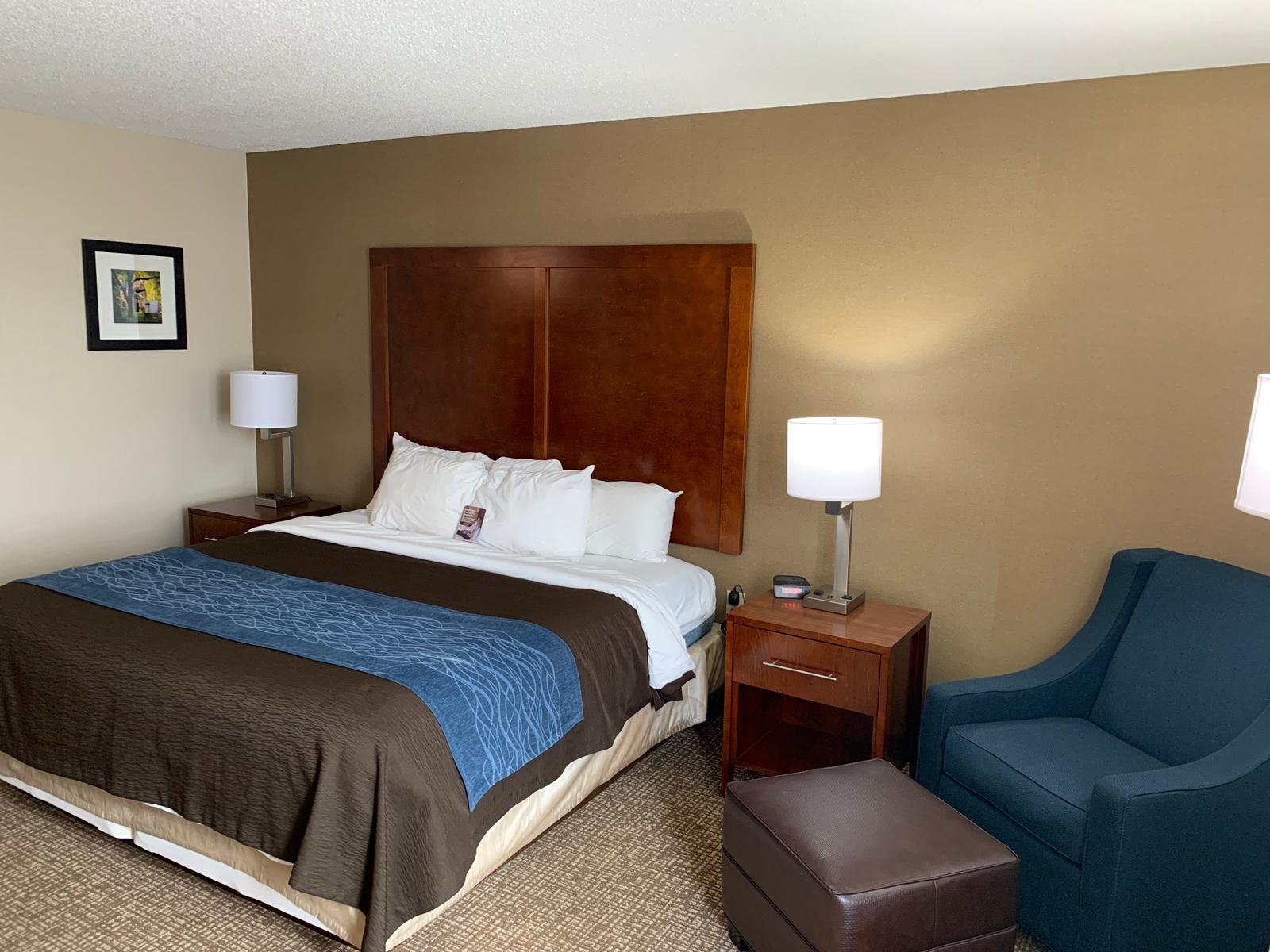 Comfort Inn-官方