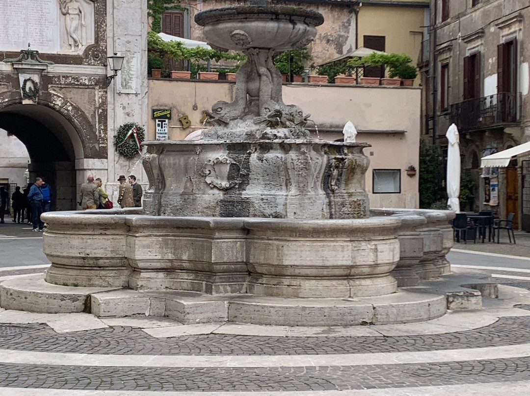 Fontana dei Delfini景点图片