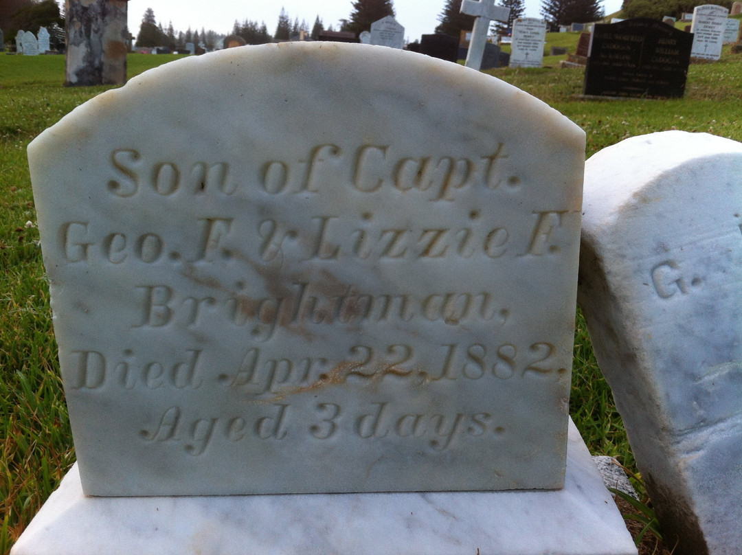 Norfolk Island History and Genealogy-金斯敦必去景点