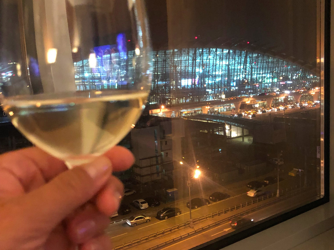 DoubleTree By Hilton Moscow - Vnukovo Airport主图