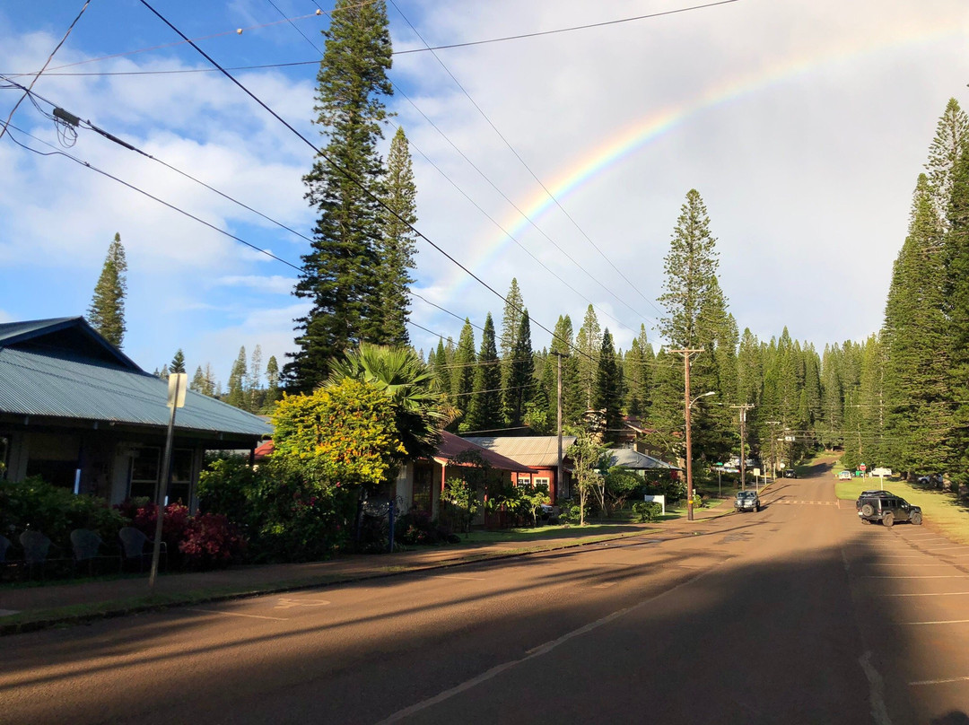 Dole Park-拉奈市必去景点