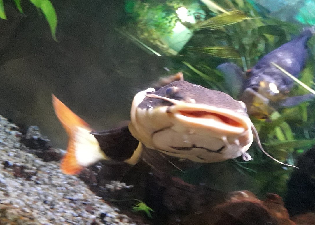 Zoo Acquario di Imola-伊莫拉必去景点
