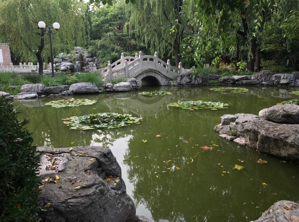 北京语言文化大学景点图片