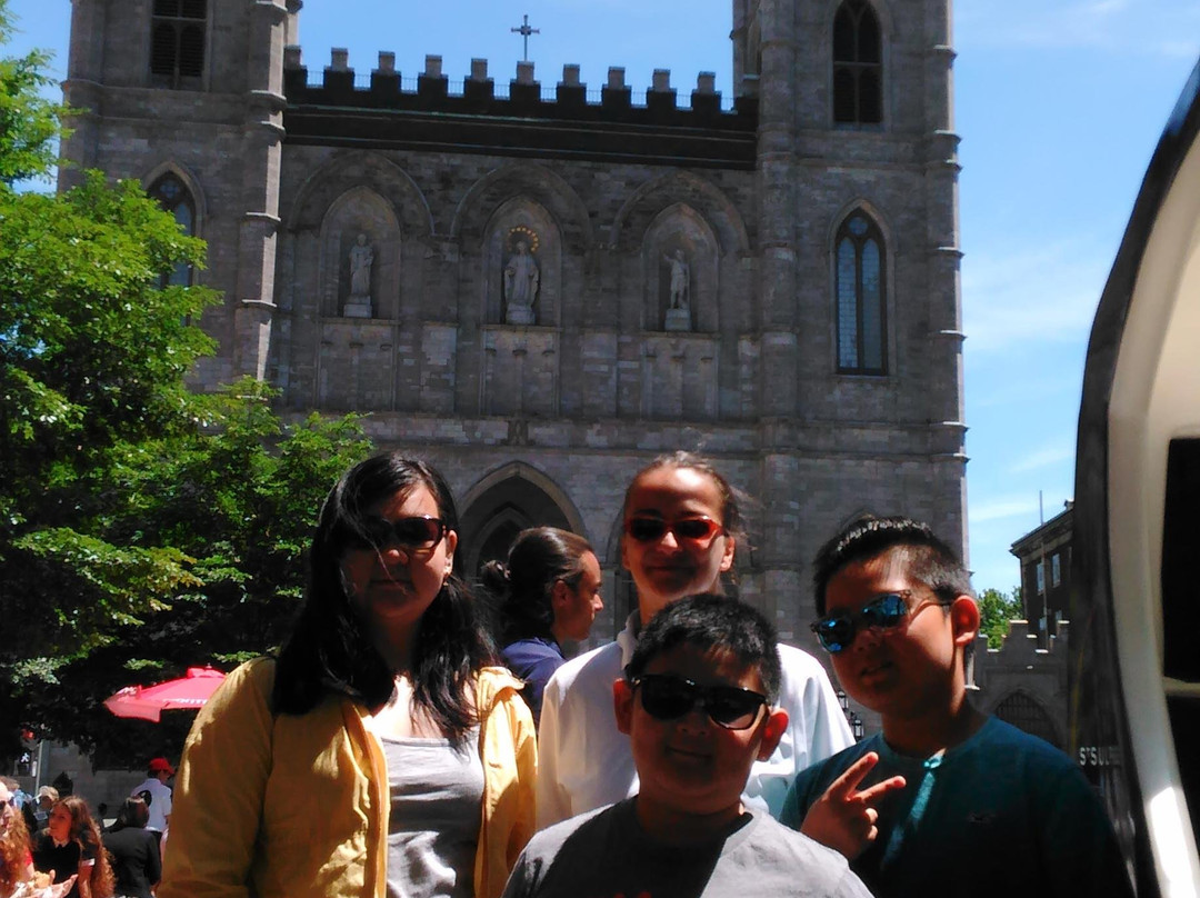 CycloCitoyen-蒙特利尔必去景点