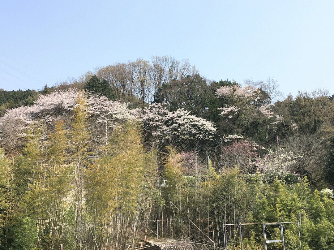 Chikatsu Asukanosato Michi-no-Eki-太子町必去景点
