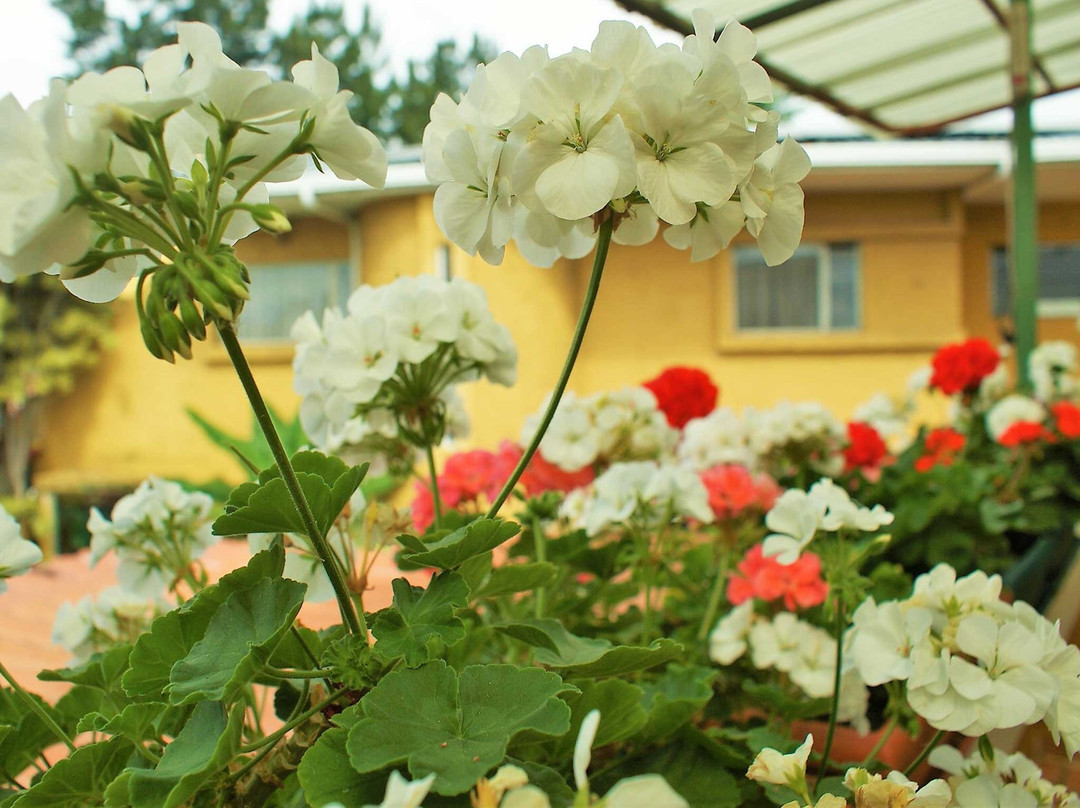 Hotel Puerta del Sol主图