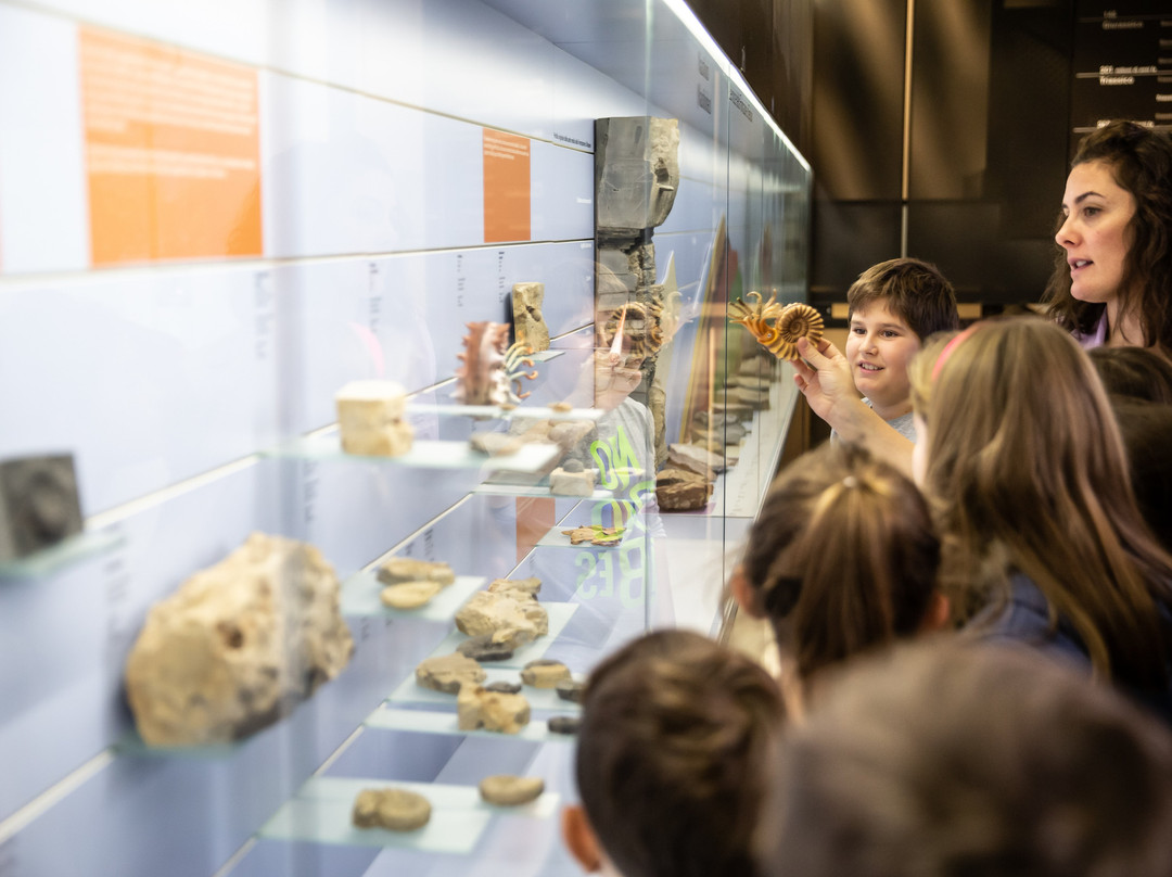 Museo dei fossili del Monte San Giorgio-Meride必去景点