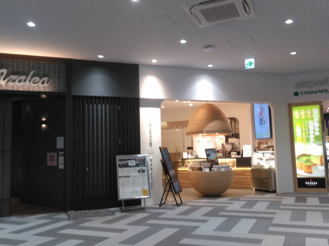 Tottori Sand Dunes Conan Airport-鸟取市必去景点