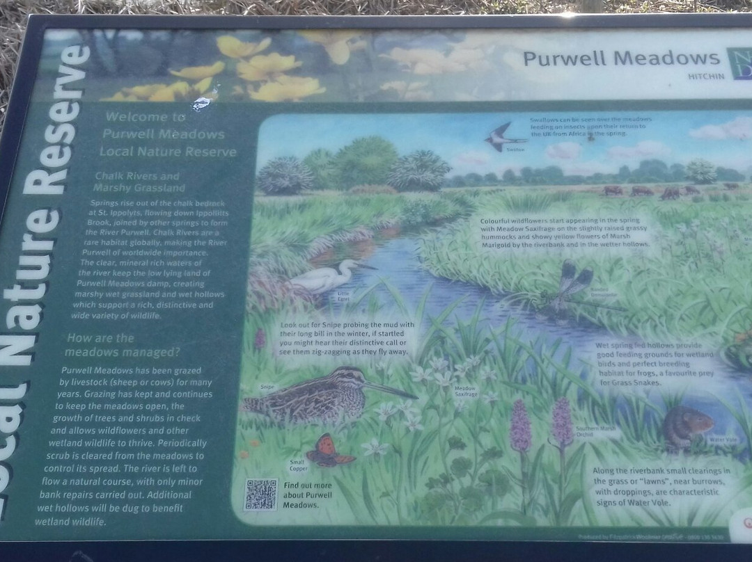 Purwell Meadows Nature Reserve.景点图片