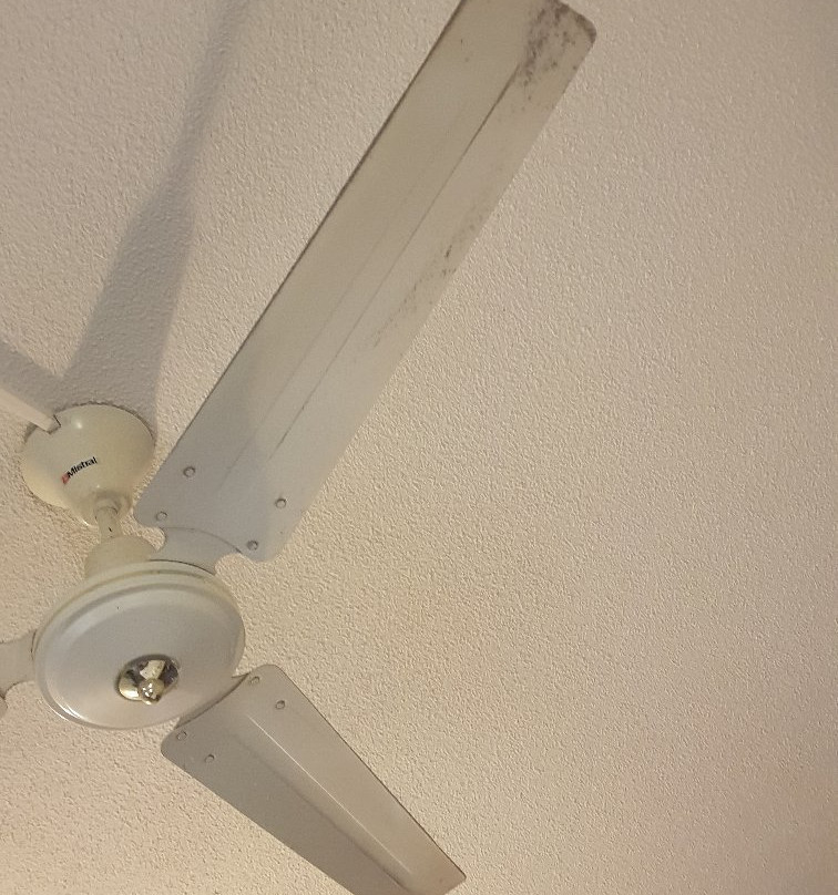 Mount Wellington Motel主图