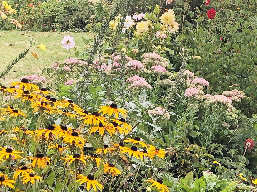 Te Waimate Mission-Waimate North必去景点