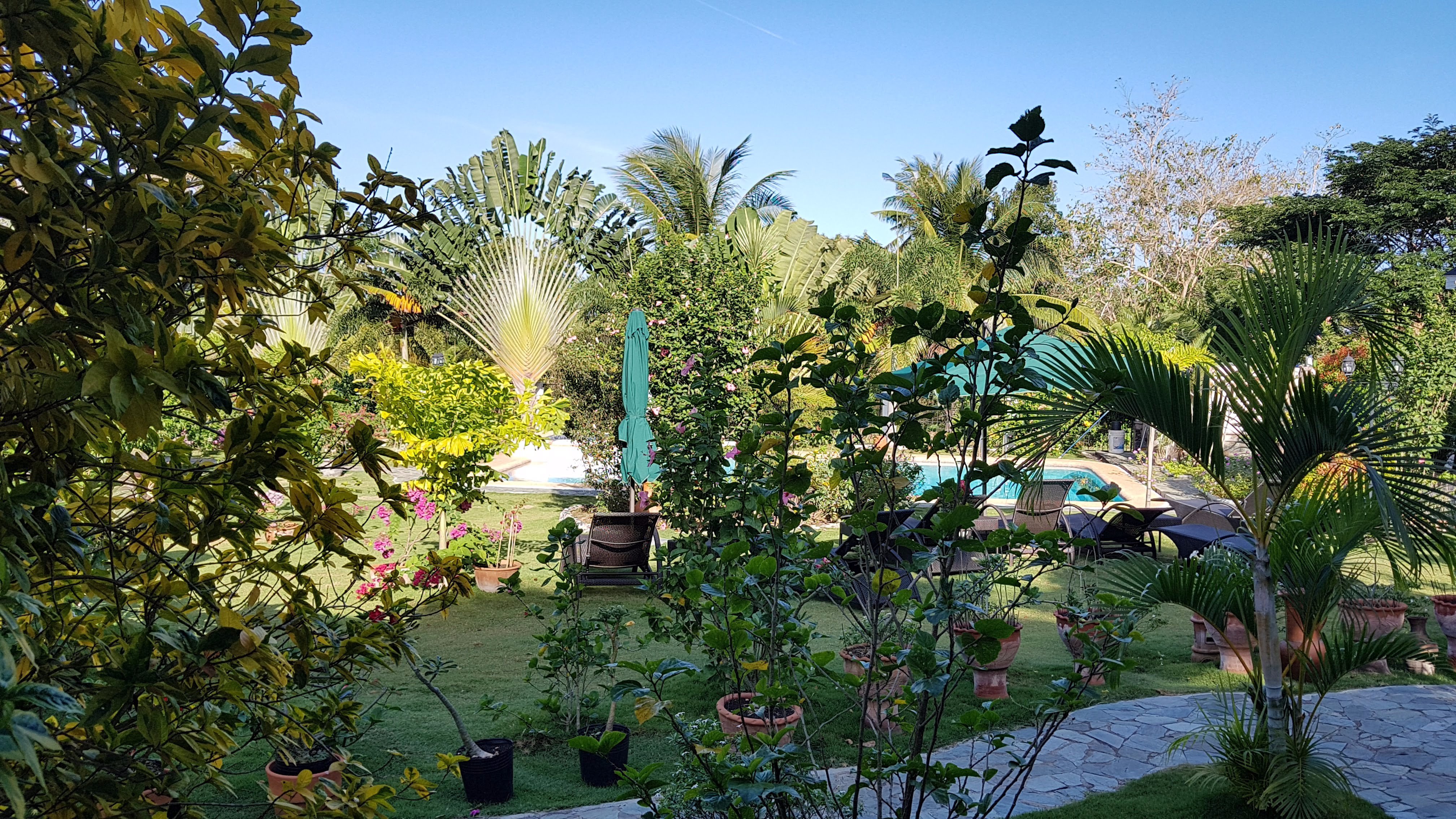 花园山林小屋-泳池