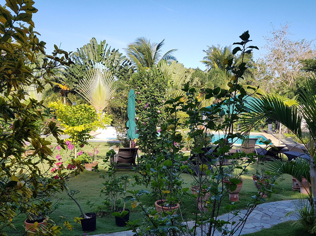 花园山林小屋主图