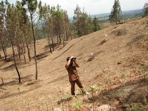 Puncak Pelangkah Gading-Kutambaru必去景点