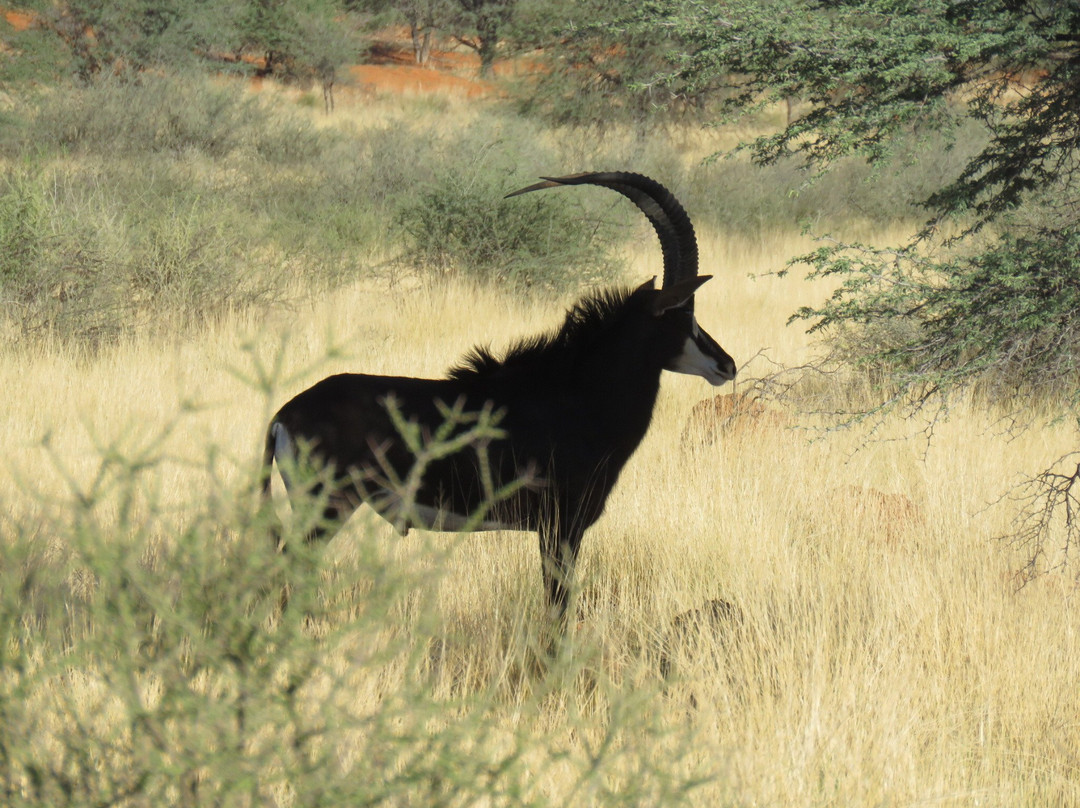Tahiti Guesthouse, Campsite and Restaurant主图