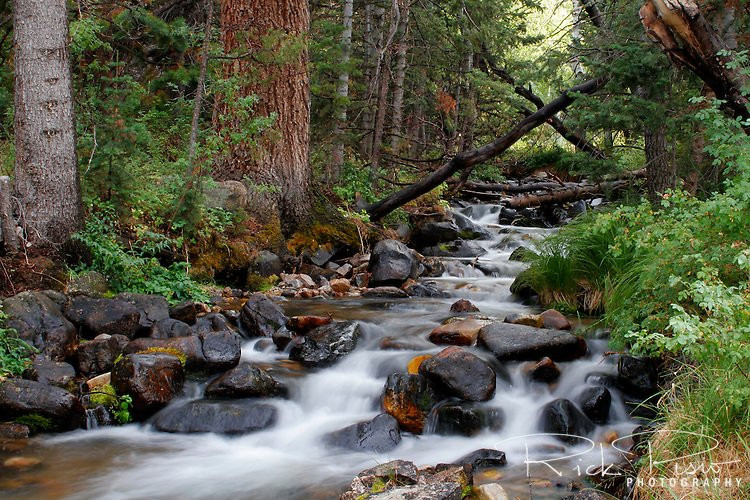 Ely旅游攻略图片