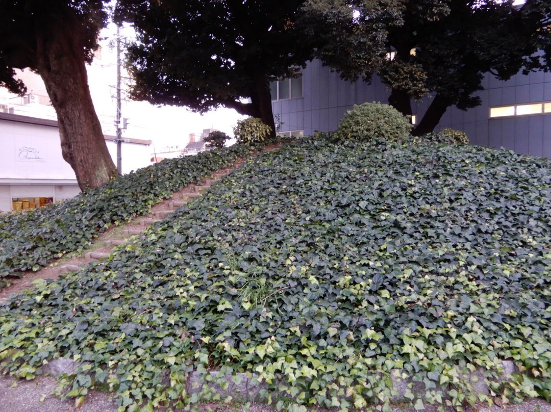 Nagonoyama Ancient Tomb-Osu必去景点