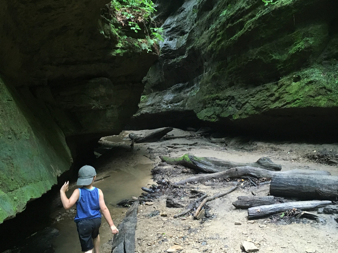 Turkey Run State Park-Marshall必去景点