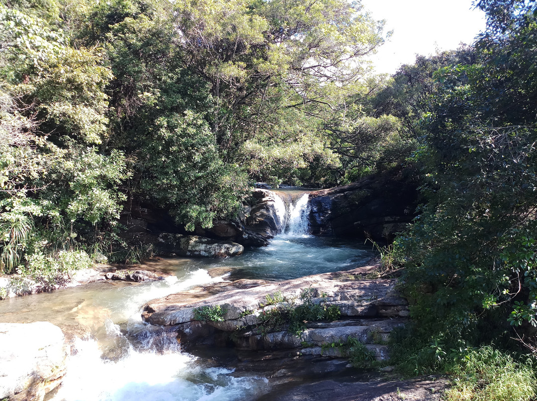 Sennya Resorts主图