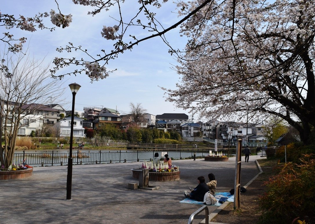 Koike Park景点图片