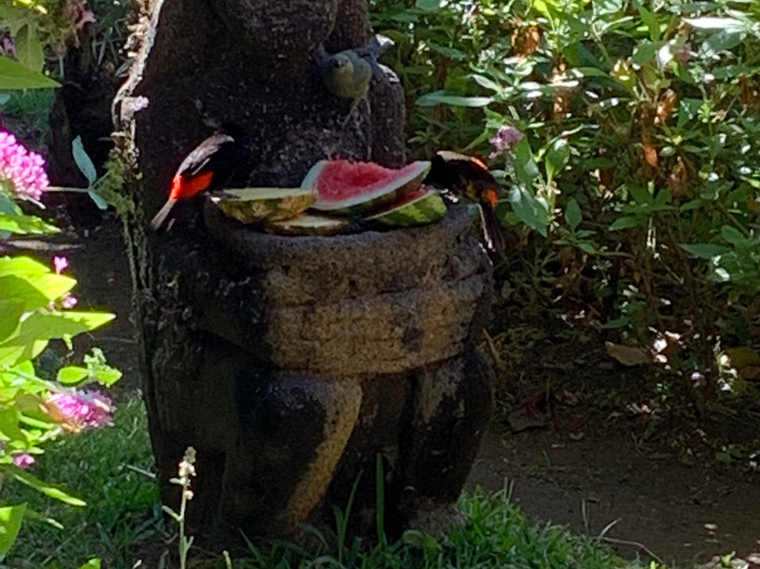 Boquete Garden Inn主图