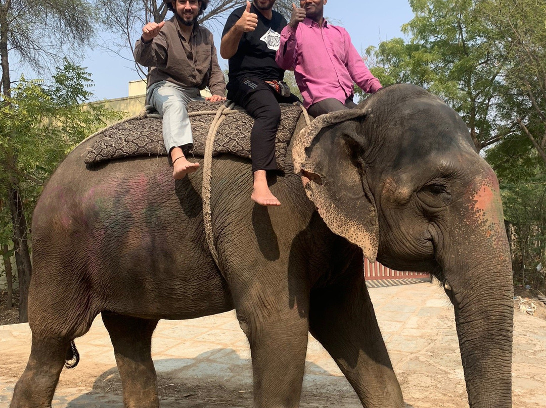 Elefriend-Amer必去景点