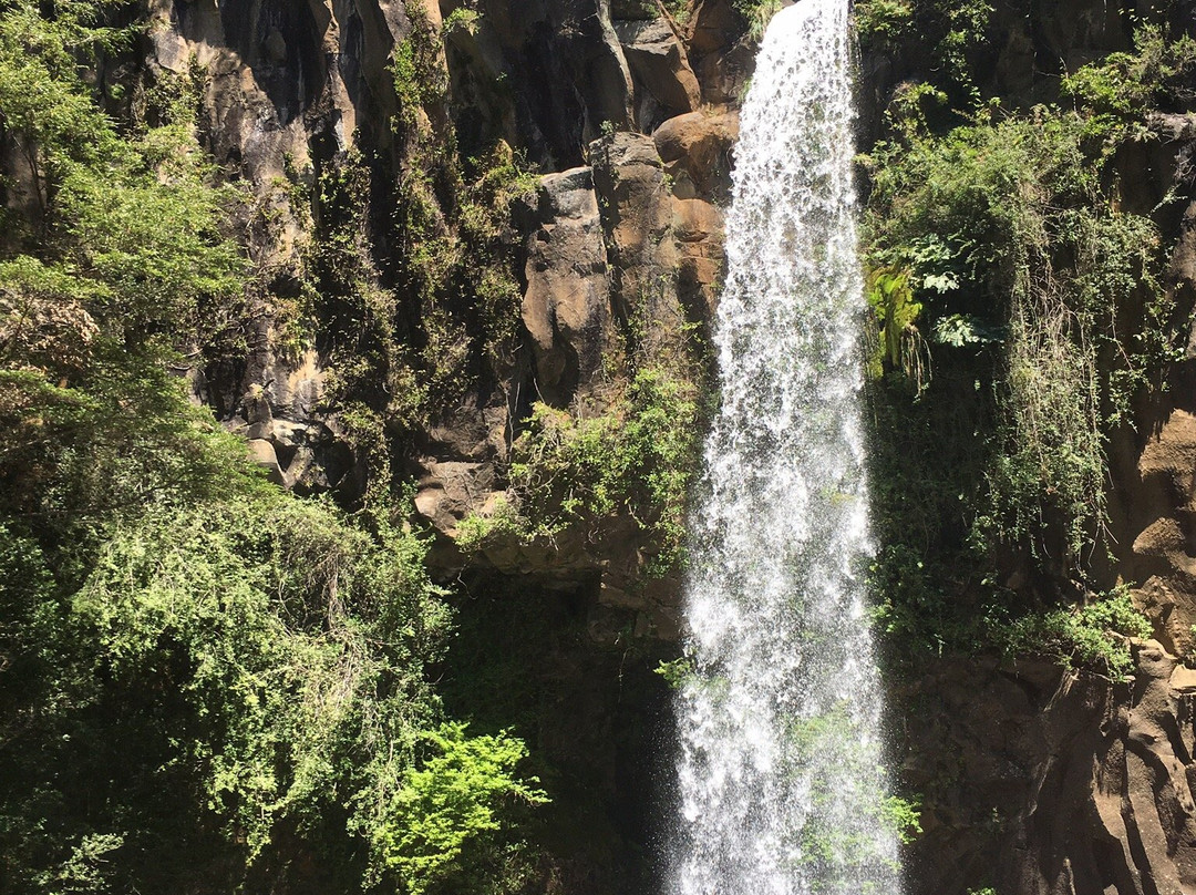 Salto de la Princesa-Curacautin必去景点