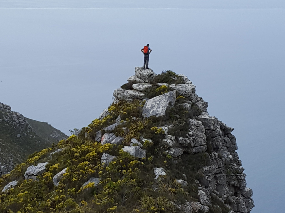 Blue Mountain Adventures-Cape Peninsula National Park必去景点