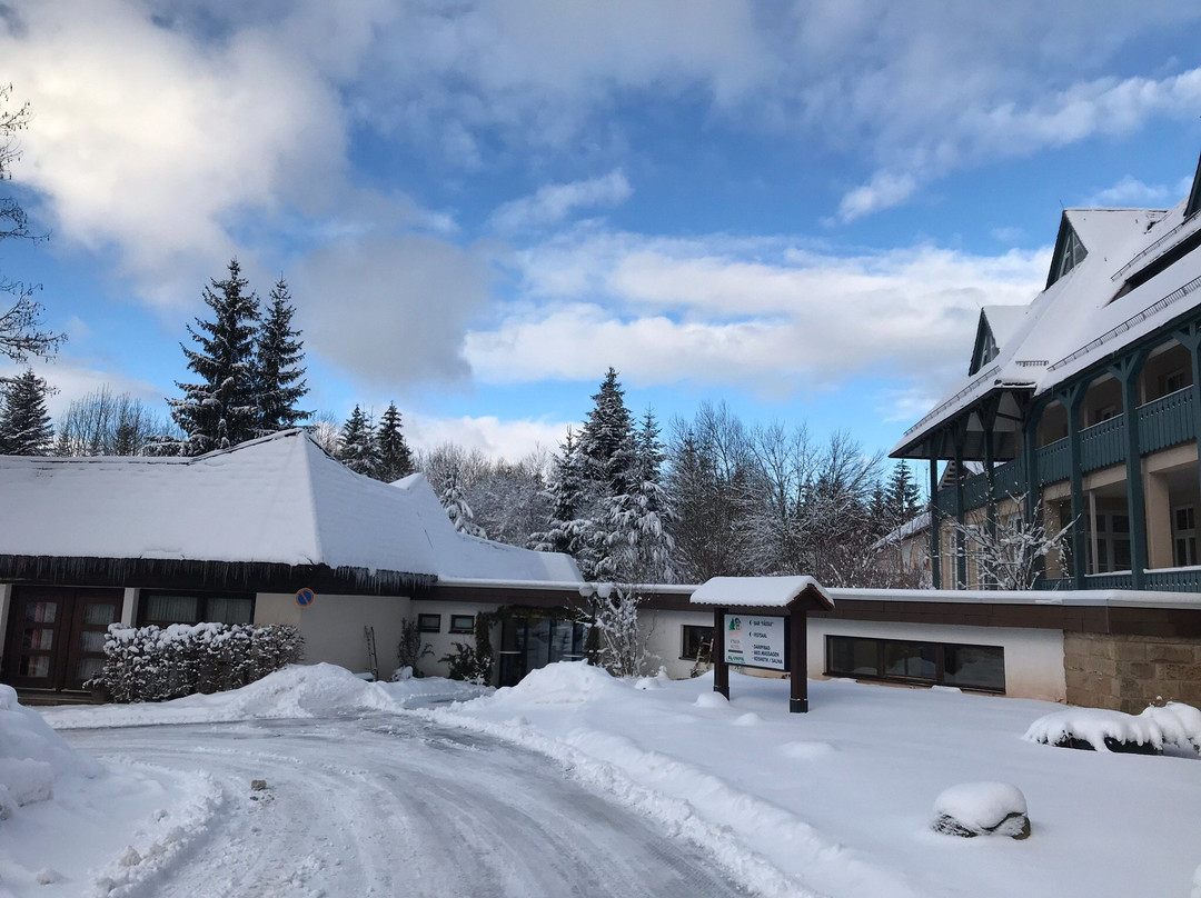 Schwarzwald Parkhotel主图