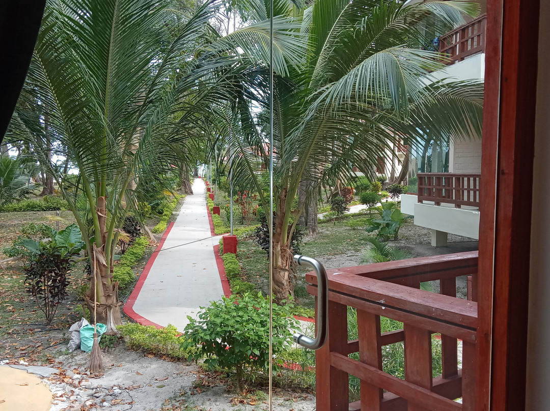 Dolphin Resort主图