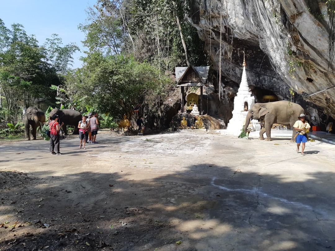 Elephant Steps Chiang Rai景点图片