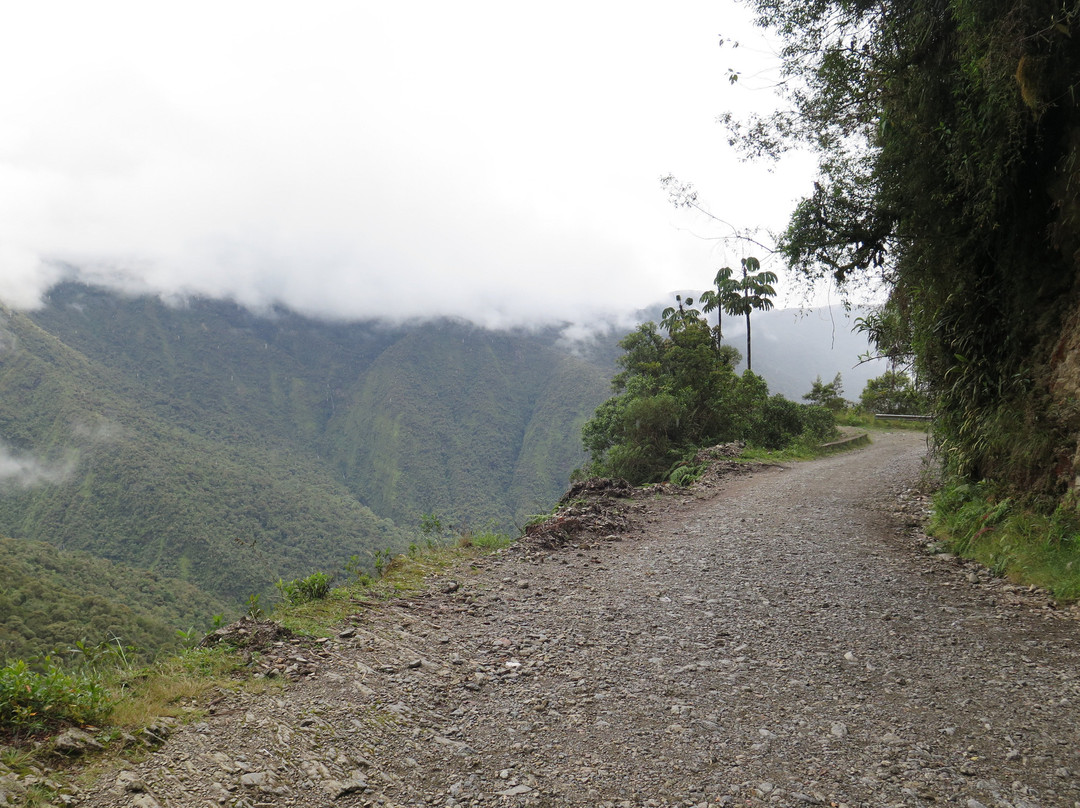 Ruta de la Muerte-Coroico必去景点