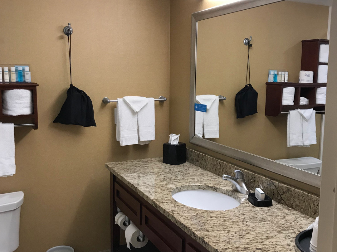 Hampton Inn & Suites Tifton主图