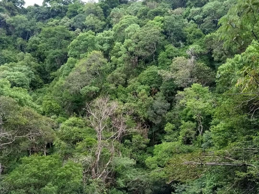 Cachoeiras Assentamento da Fronteira-Dionisio Cerqueira必去景点