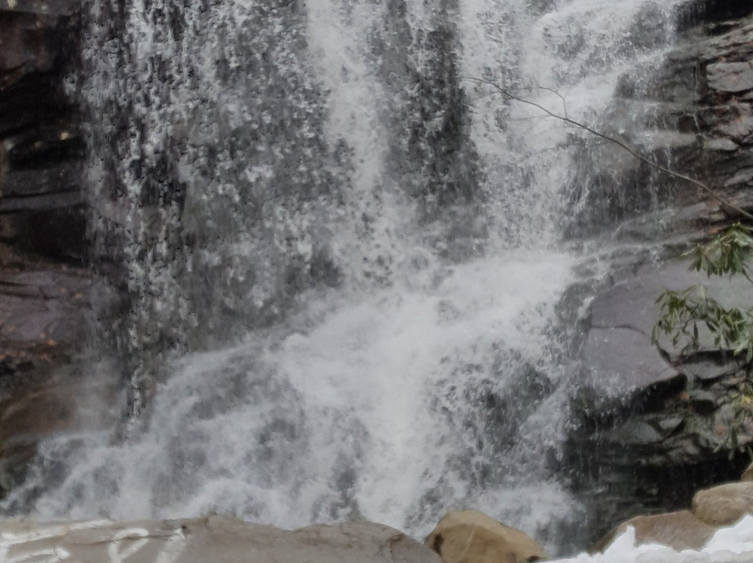 Glen Onoko Falls Trail景点图片