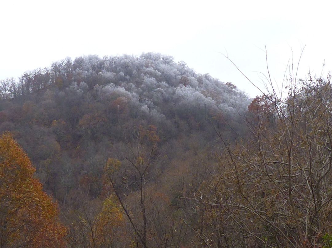 Wind Rock Off Road Park-Oliver Springs必去景点