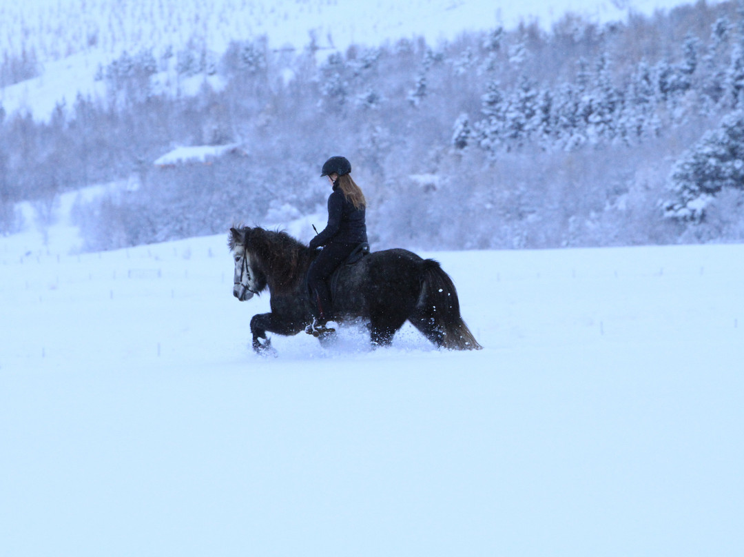 Hof i Vatnsdal主图