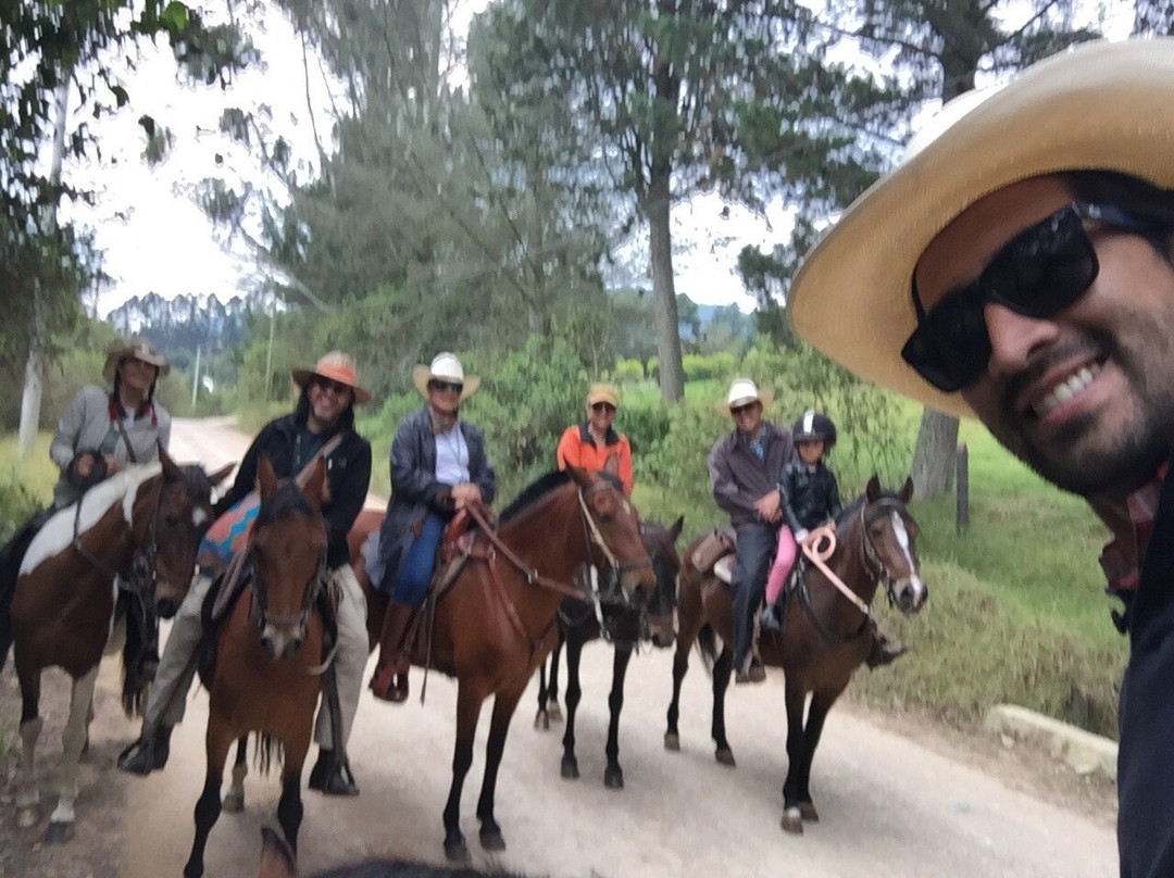 La Isabela Ecuestre景点图片