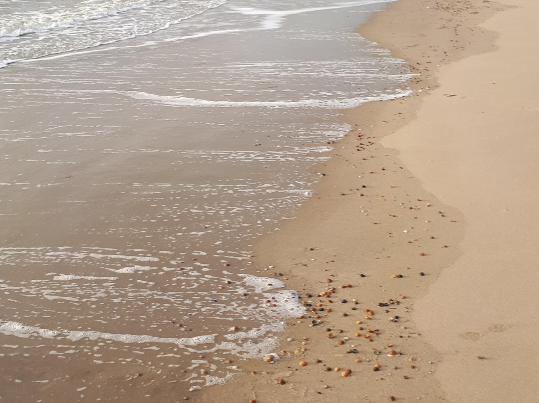 Beach Hotel主图